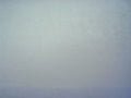 Palladium Snow