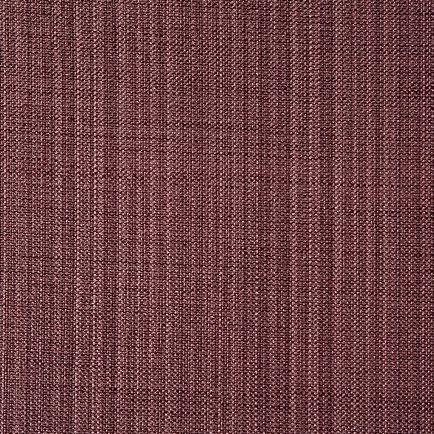 Gem Lavender