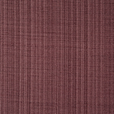 Gem Lavender