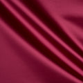 Chic Fuchsia