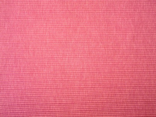 Palomino Magenta