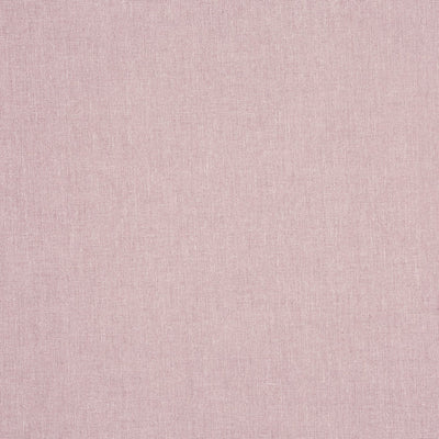 Saxon Rose