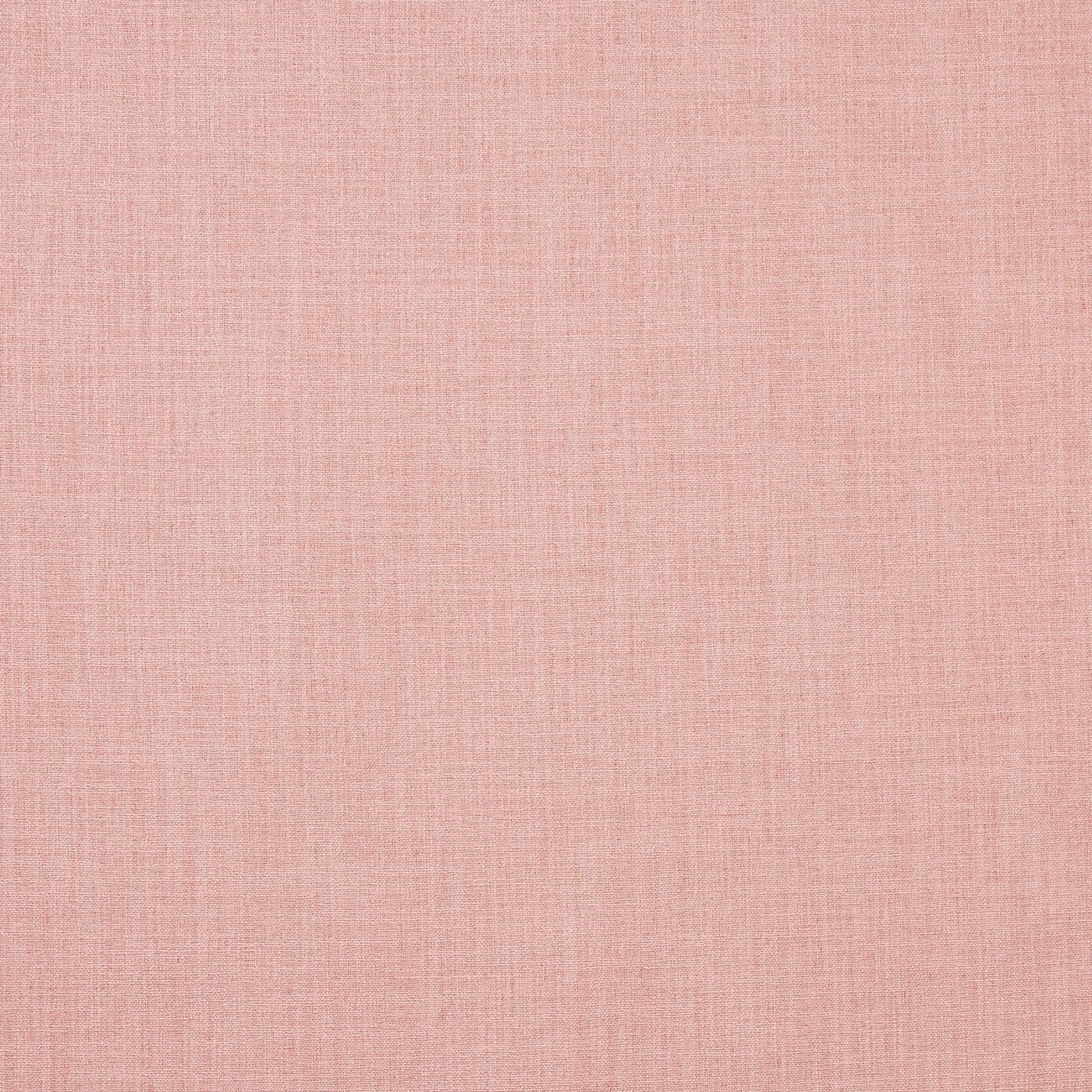 Saxon Blush