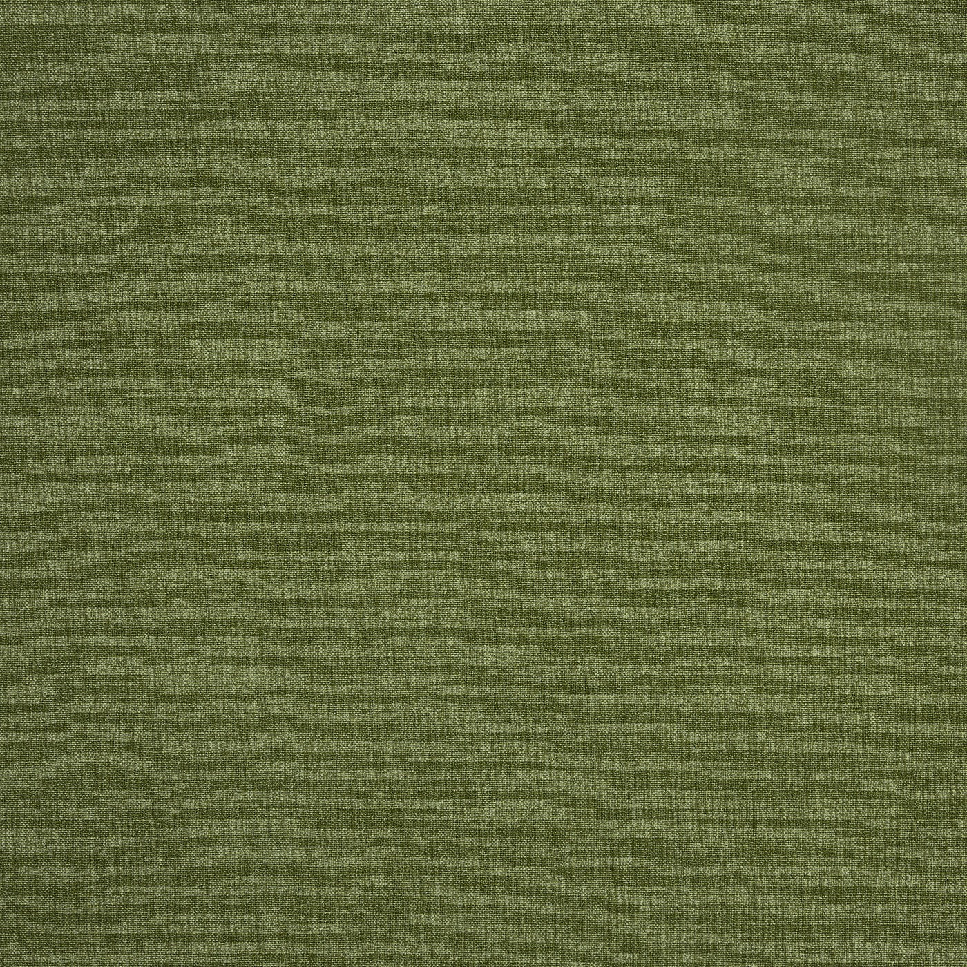 Saxon Olive