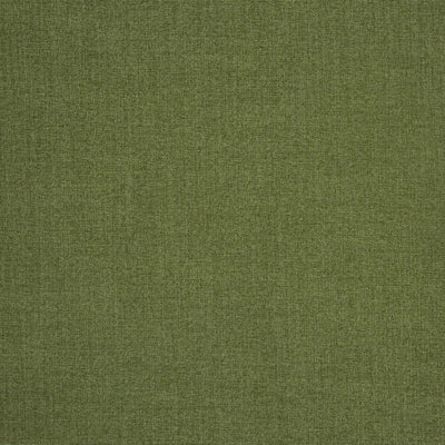 Saxon Olive