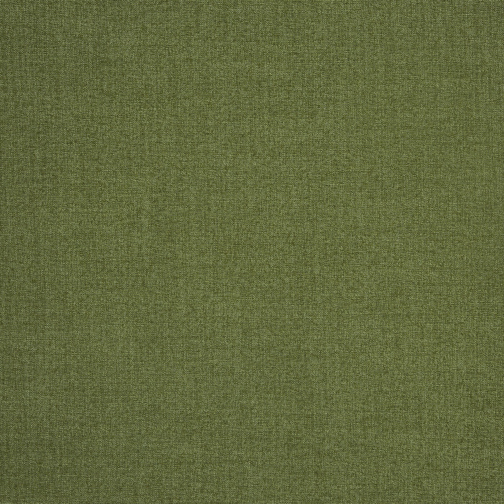 Saxon Olive