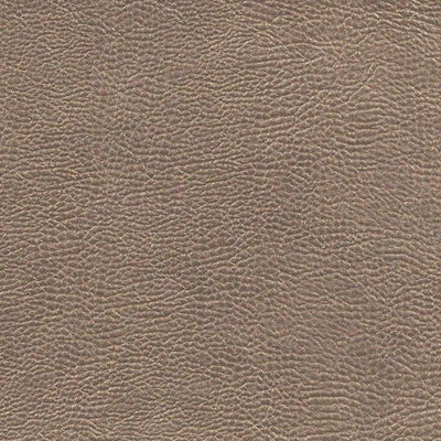 Buffalo Chestnut