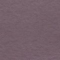Buffalo Plum