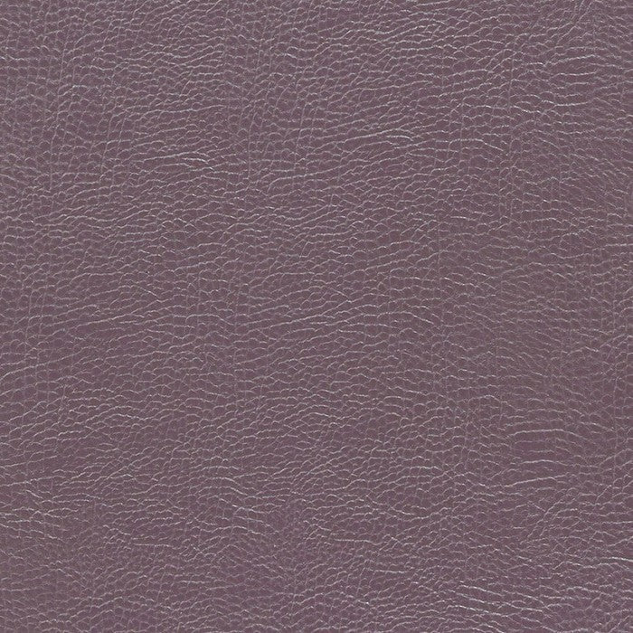 Buffalo Plum