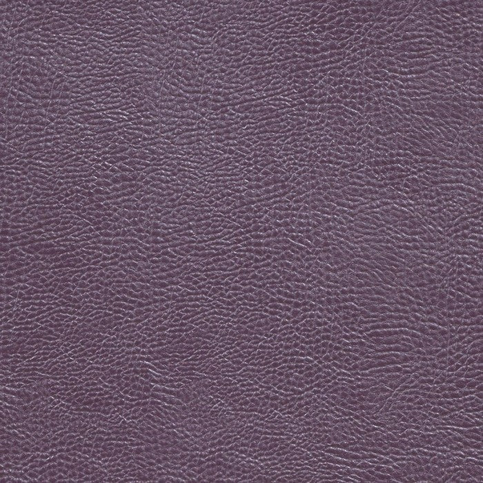 Buffalo Grape