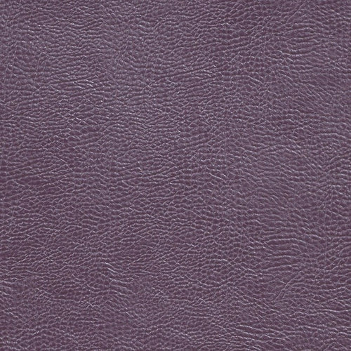 Buffalo Grape