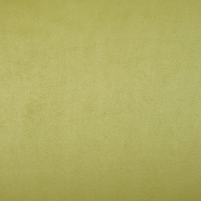 Mirage Moss