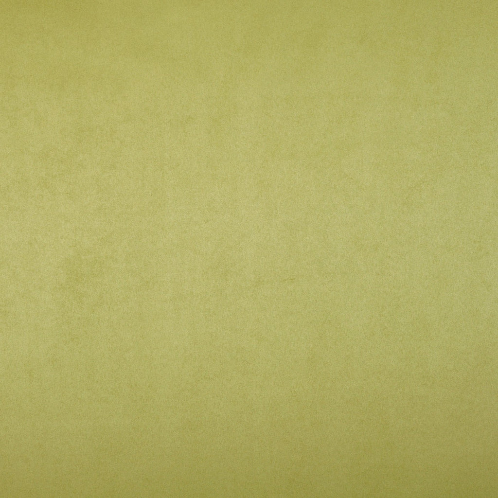 Mirage Moss
