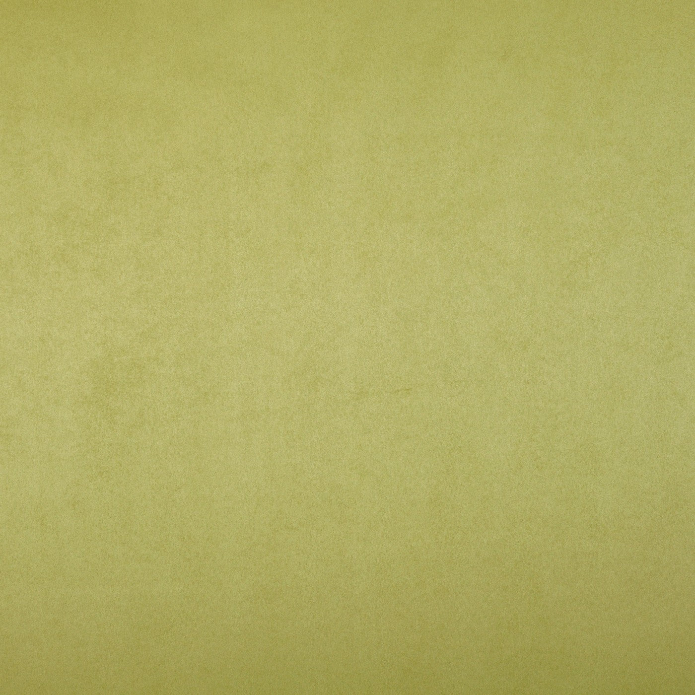 Mirage Moss