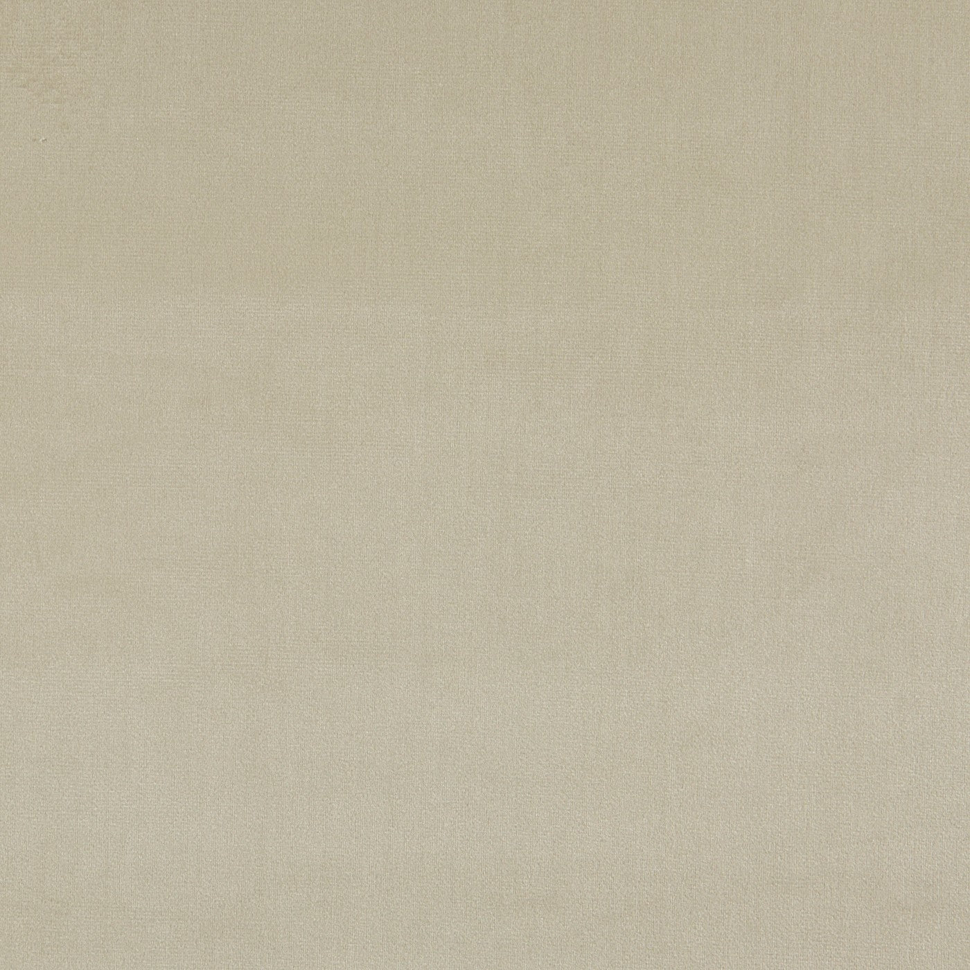 Velour Ivory – Eco