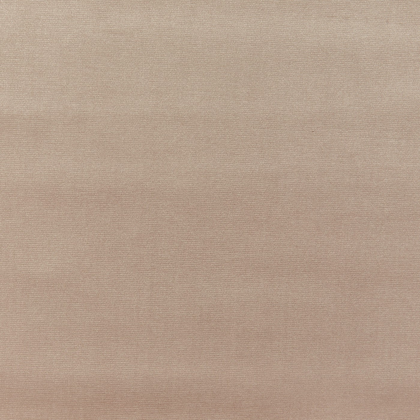 Velour Latte – Eco