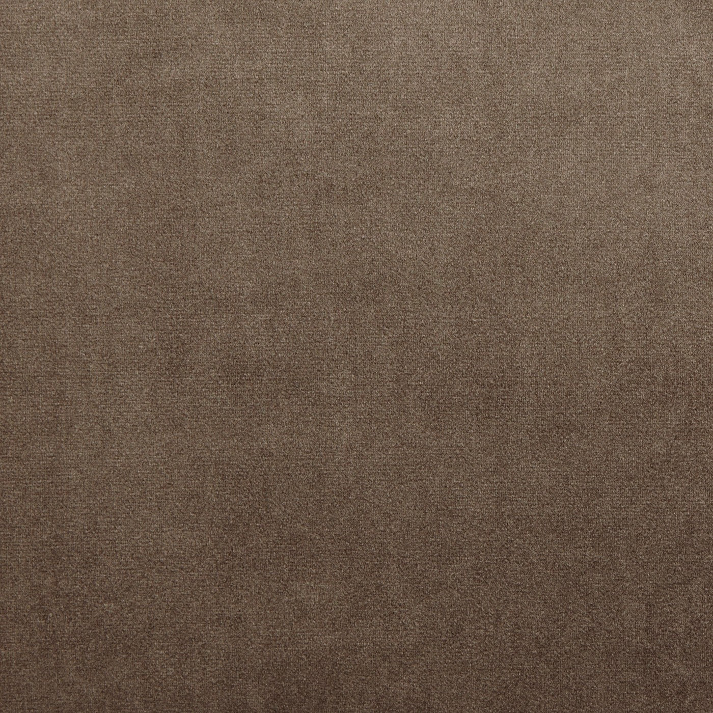 Velour Camel – Eco