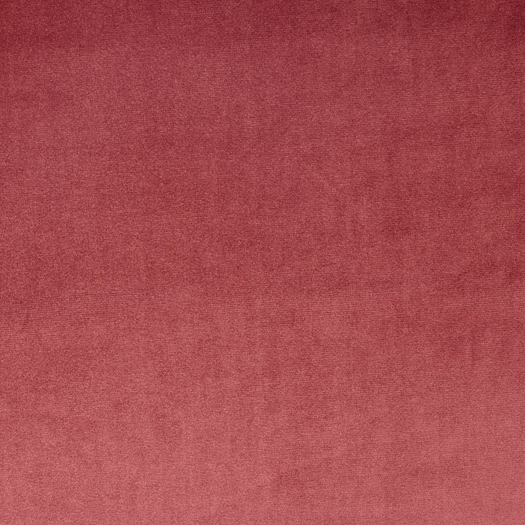 Velour Rosebud – Eco