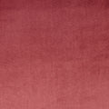 Velour Rosebud – Eco