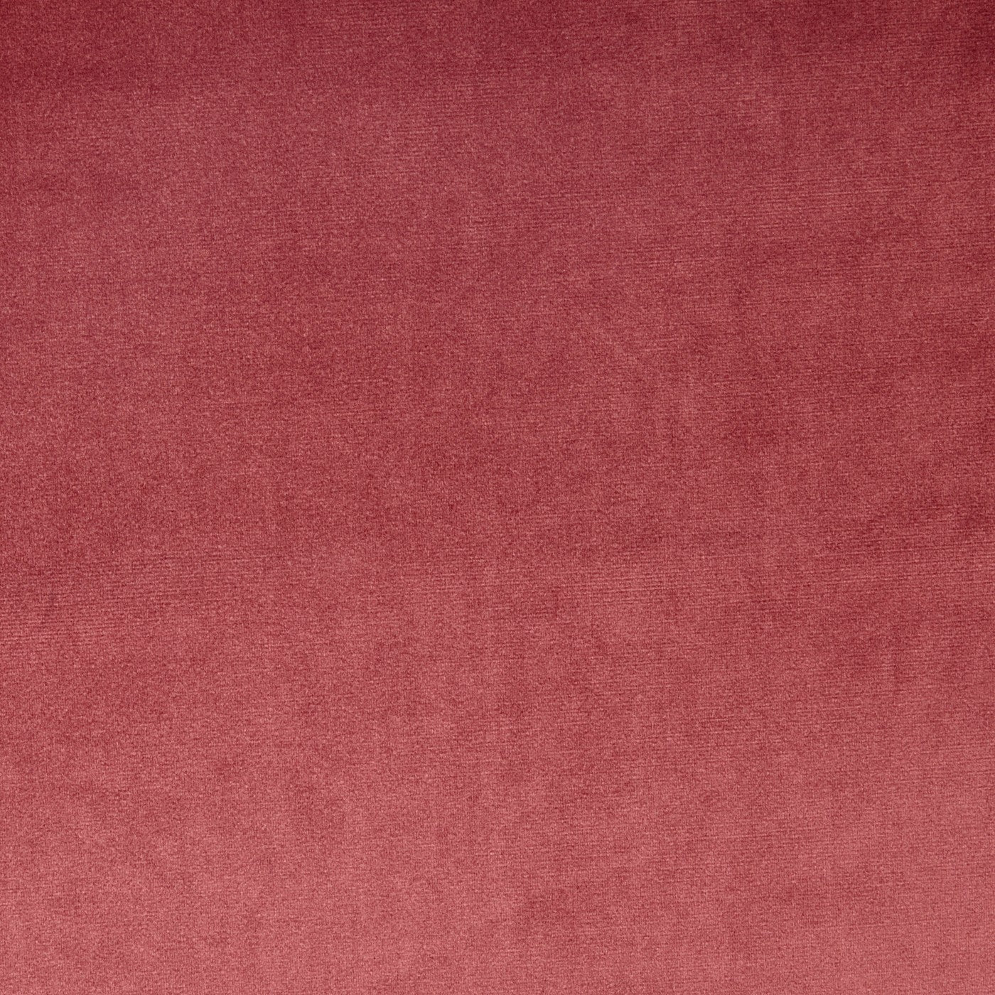 Velour Rosebud – Eco