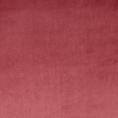 Velour Rosebud – Eco