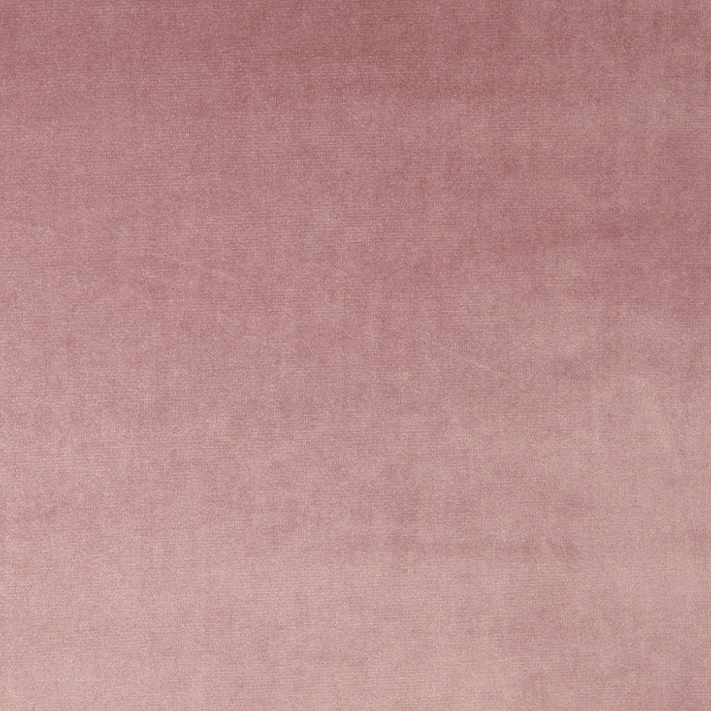 Velour Petal – Eco
