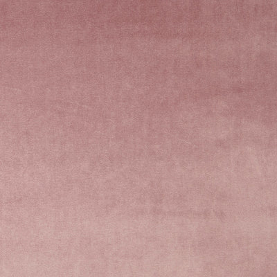 Velour Petal – Eco