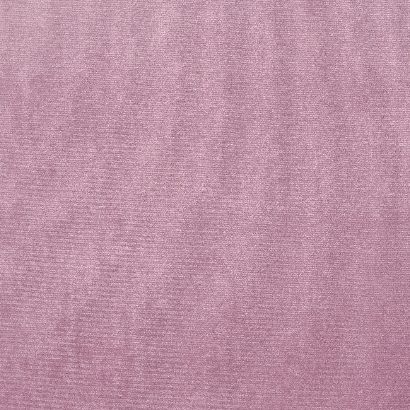 Velour Orchid – Eco