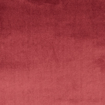 Velour Damson – Eco