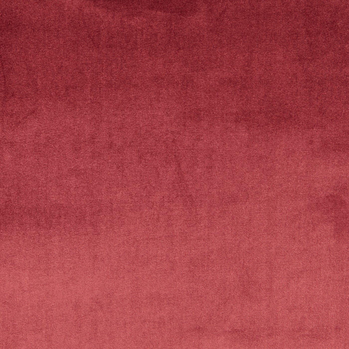 Velour Damson – Eco