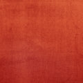 Velour Oxblood – Eco