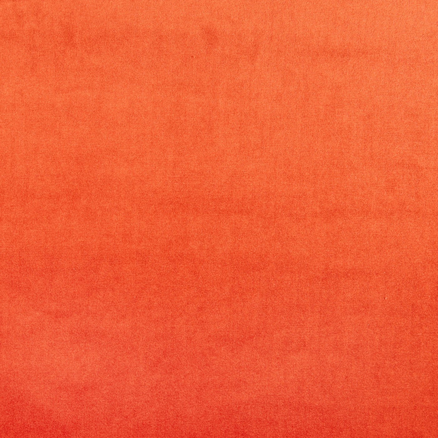 Velour Tango – Eco