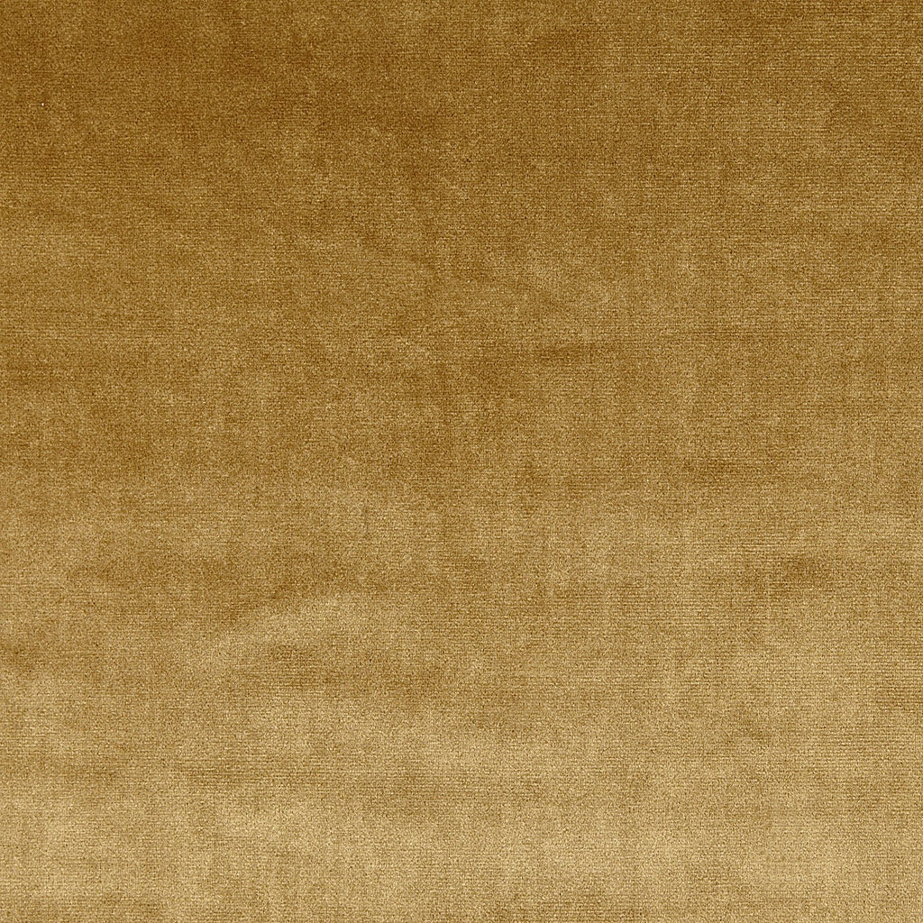 Velour Gold – Eco