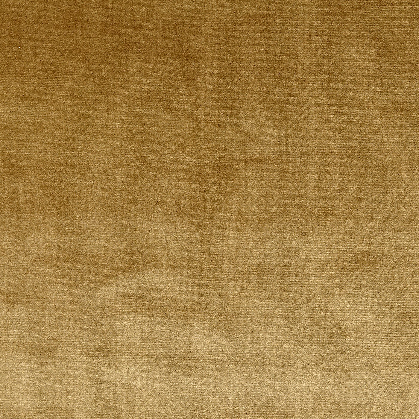 Velour Gold – Eco