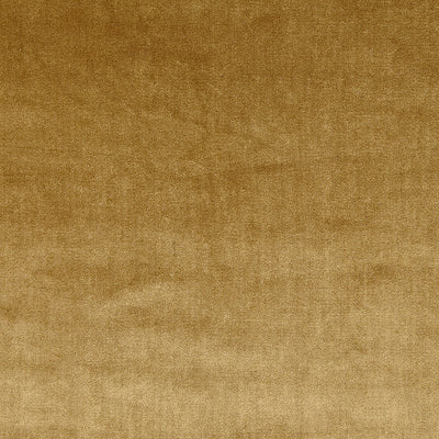 Velour Gold – Eco