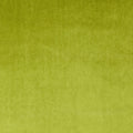 Velour Grass – Eco