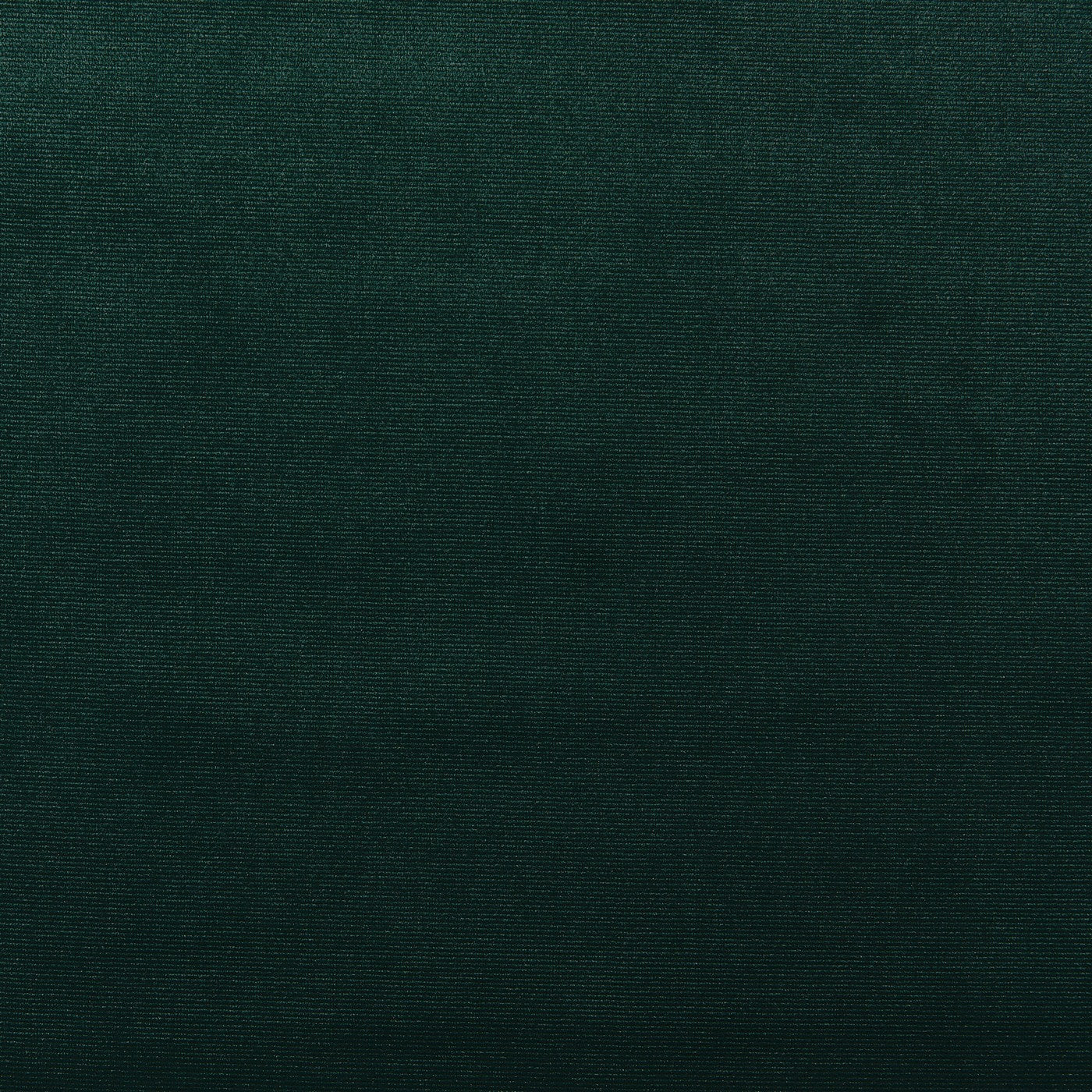 Velour Forest – Eco