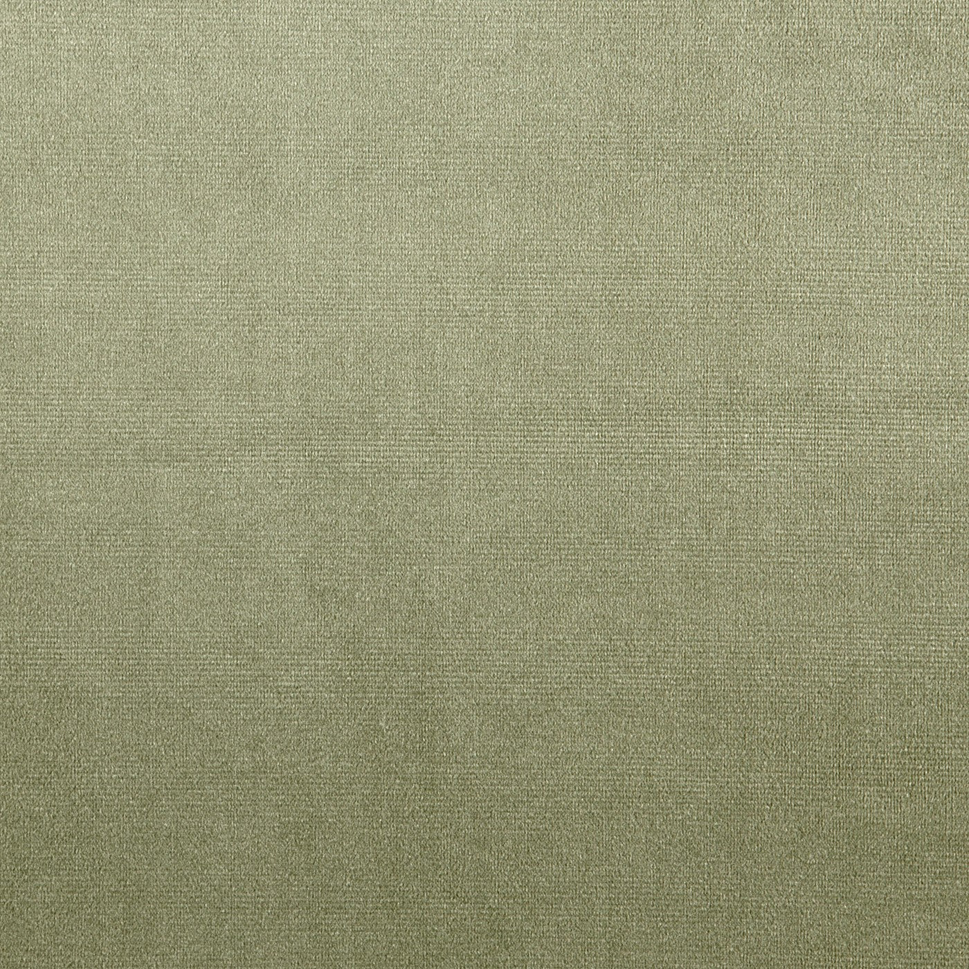 Velour Willow – Eco