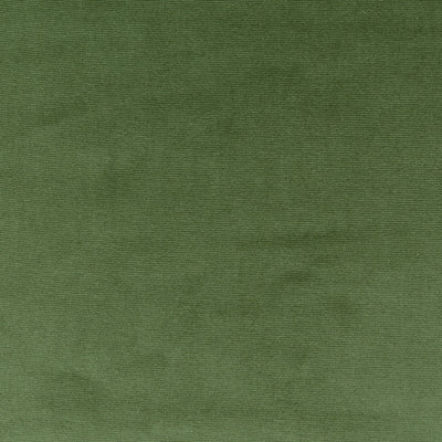 Velour Basil – Eco