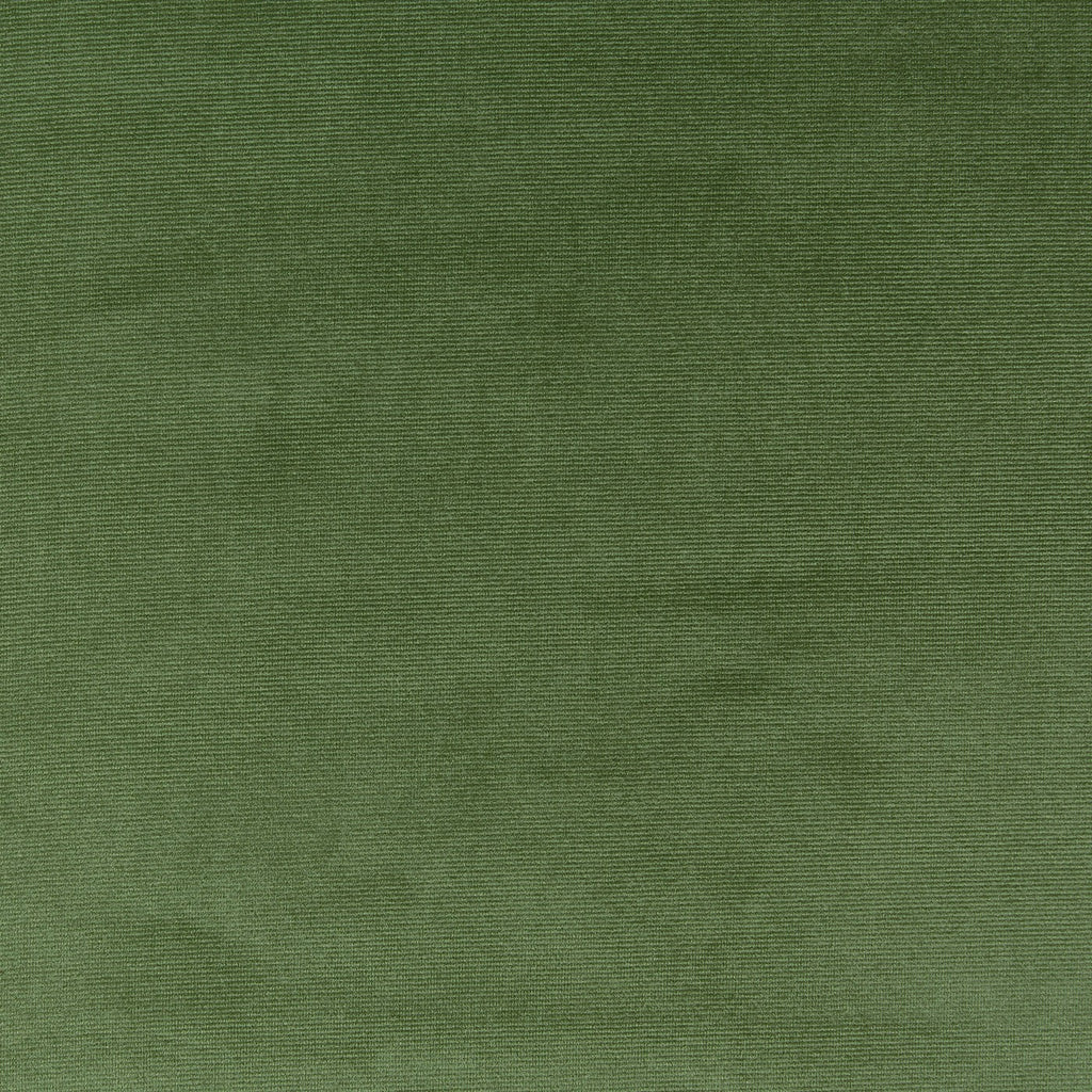 Velour Basil – Eco
