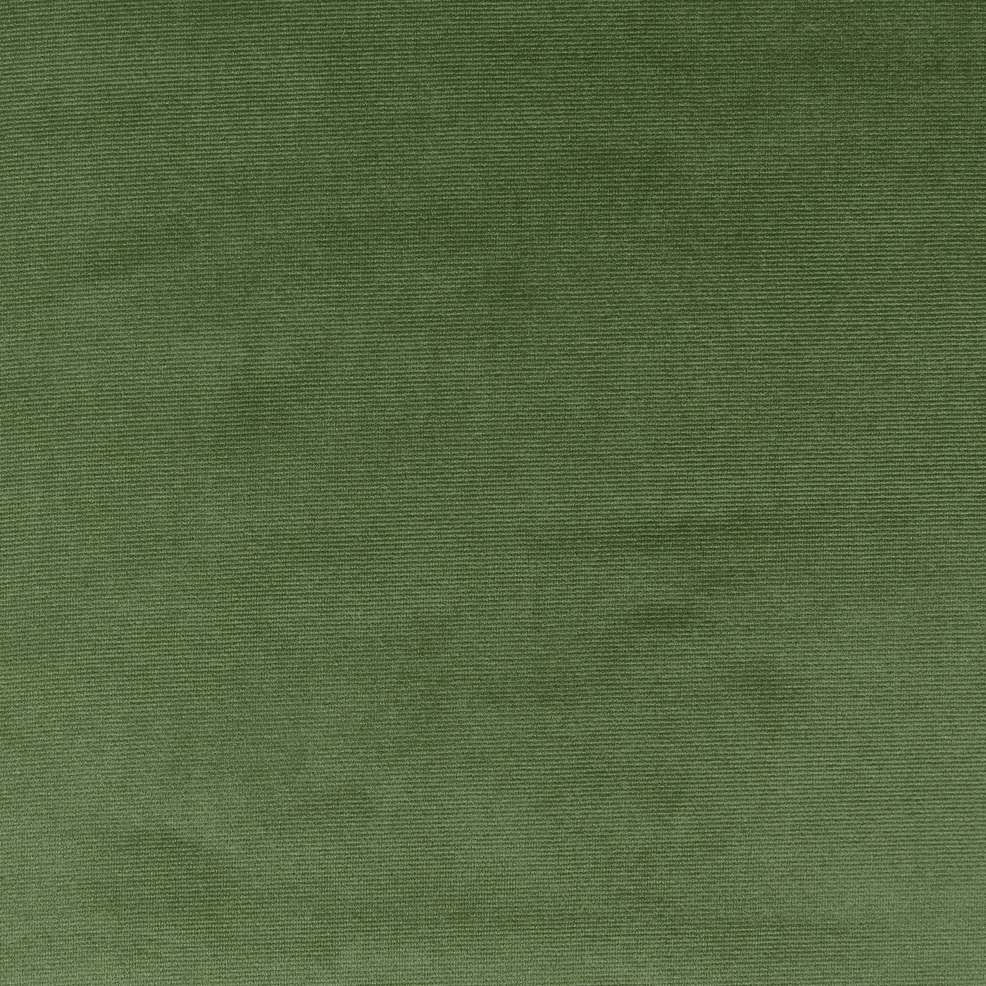 Velour Basil – Eco