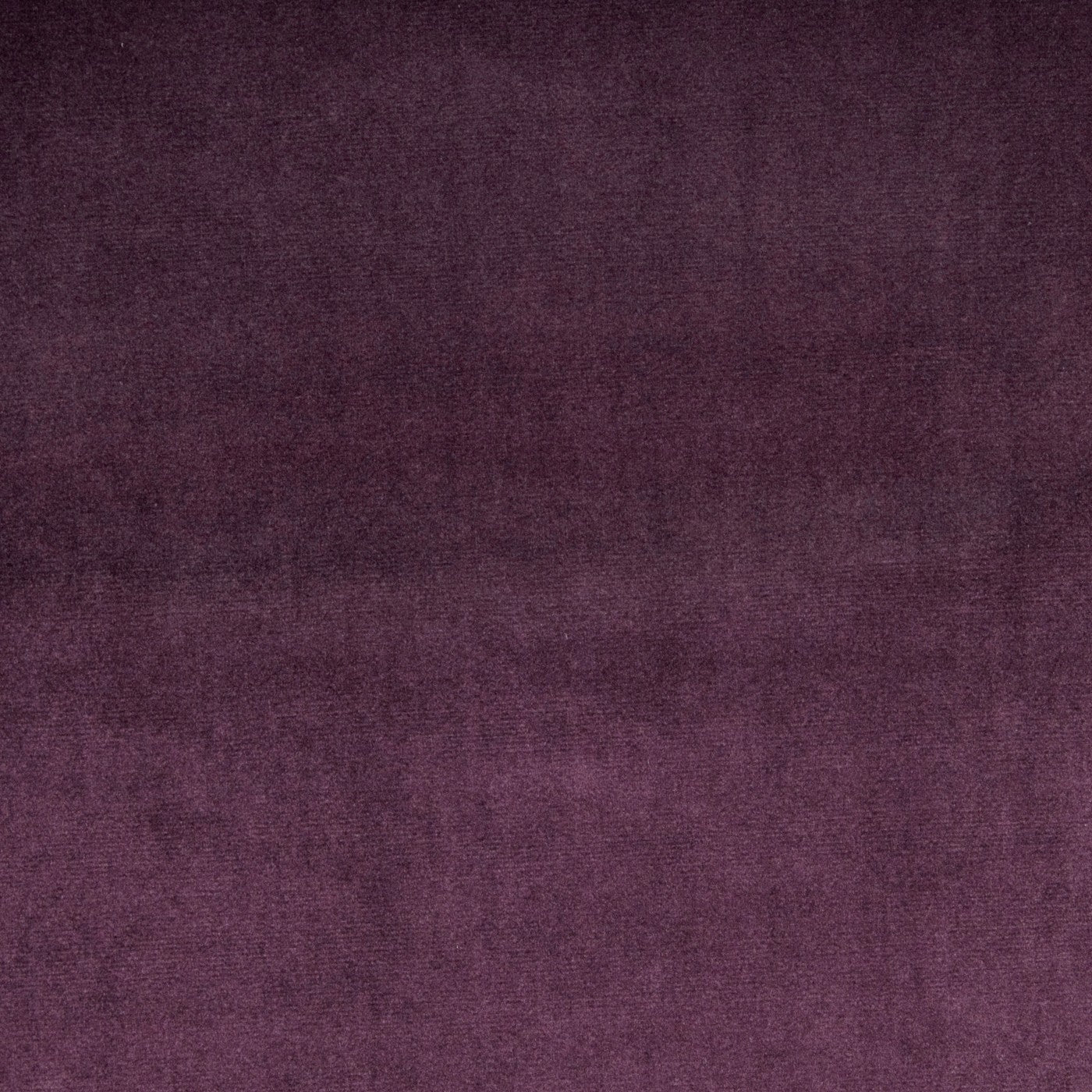 Velour Grape – Eco