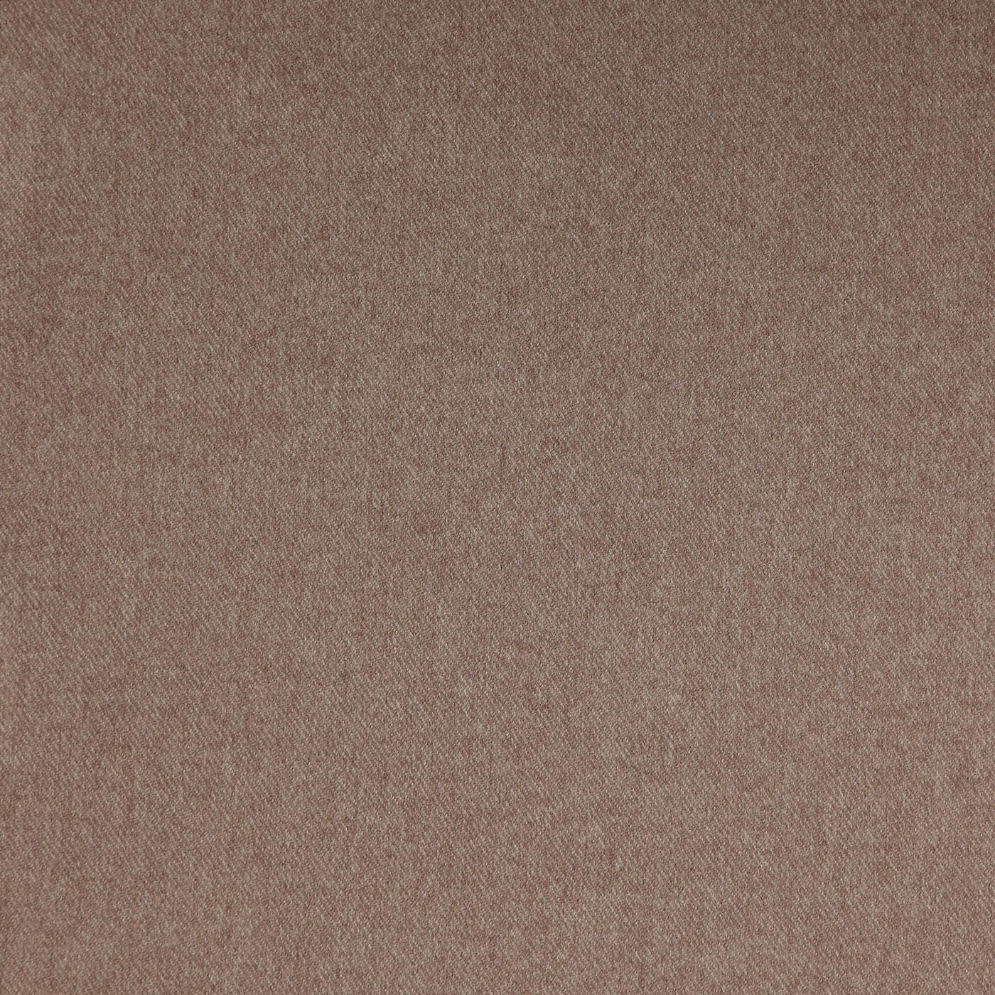 Finlay Camel