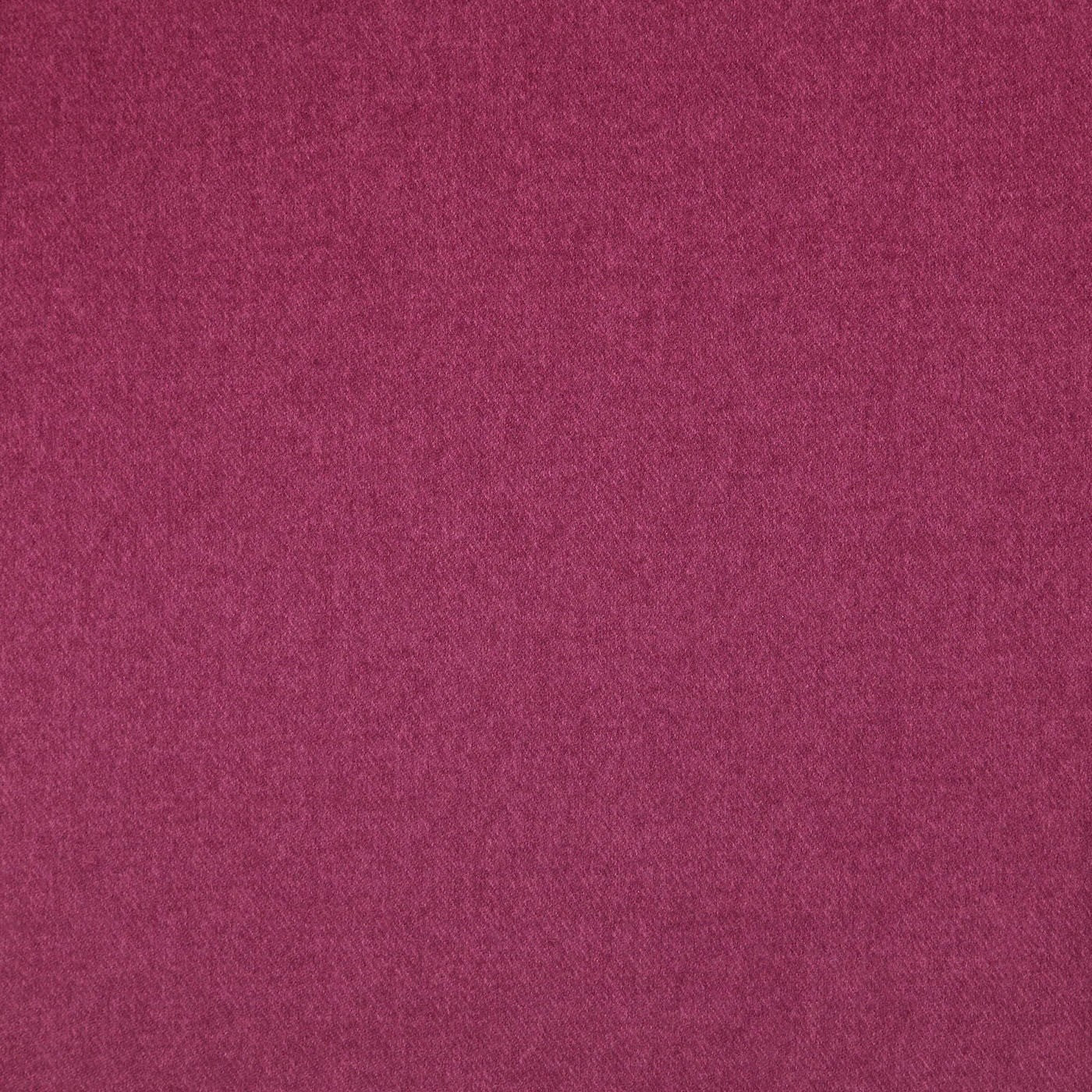 Finlay Fuchsia