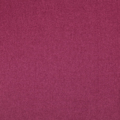 Finlay Fuchsia