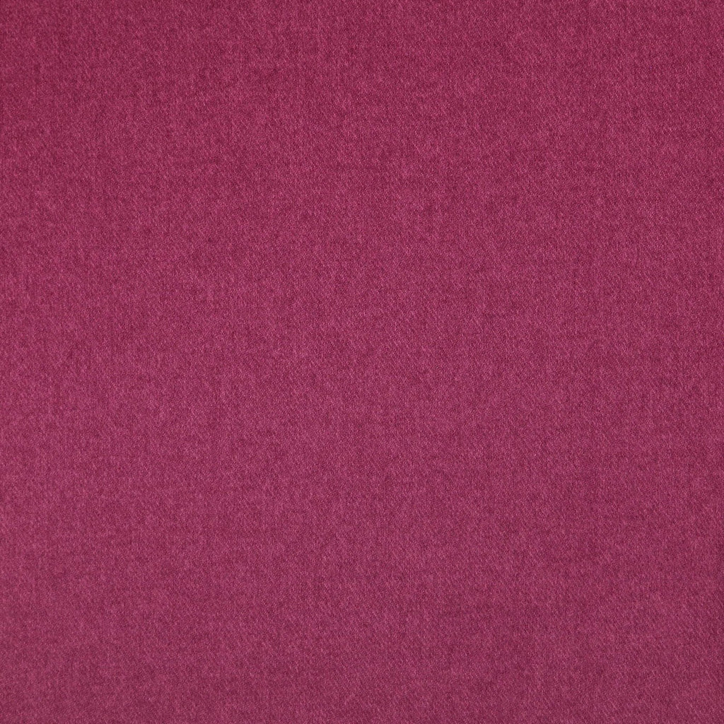 Finlay Fuchsia