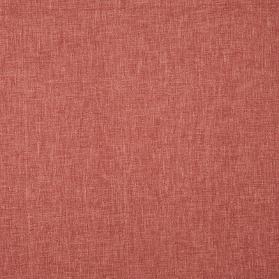 Oslo Coral