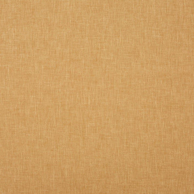Oslo Maize