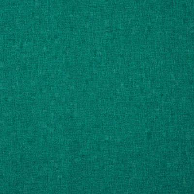 Oslo Kingfisher