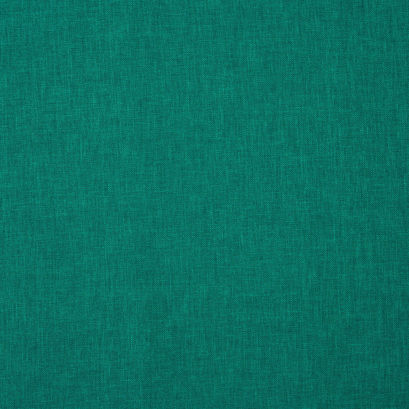 Oslo Kingfisher